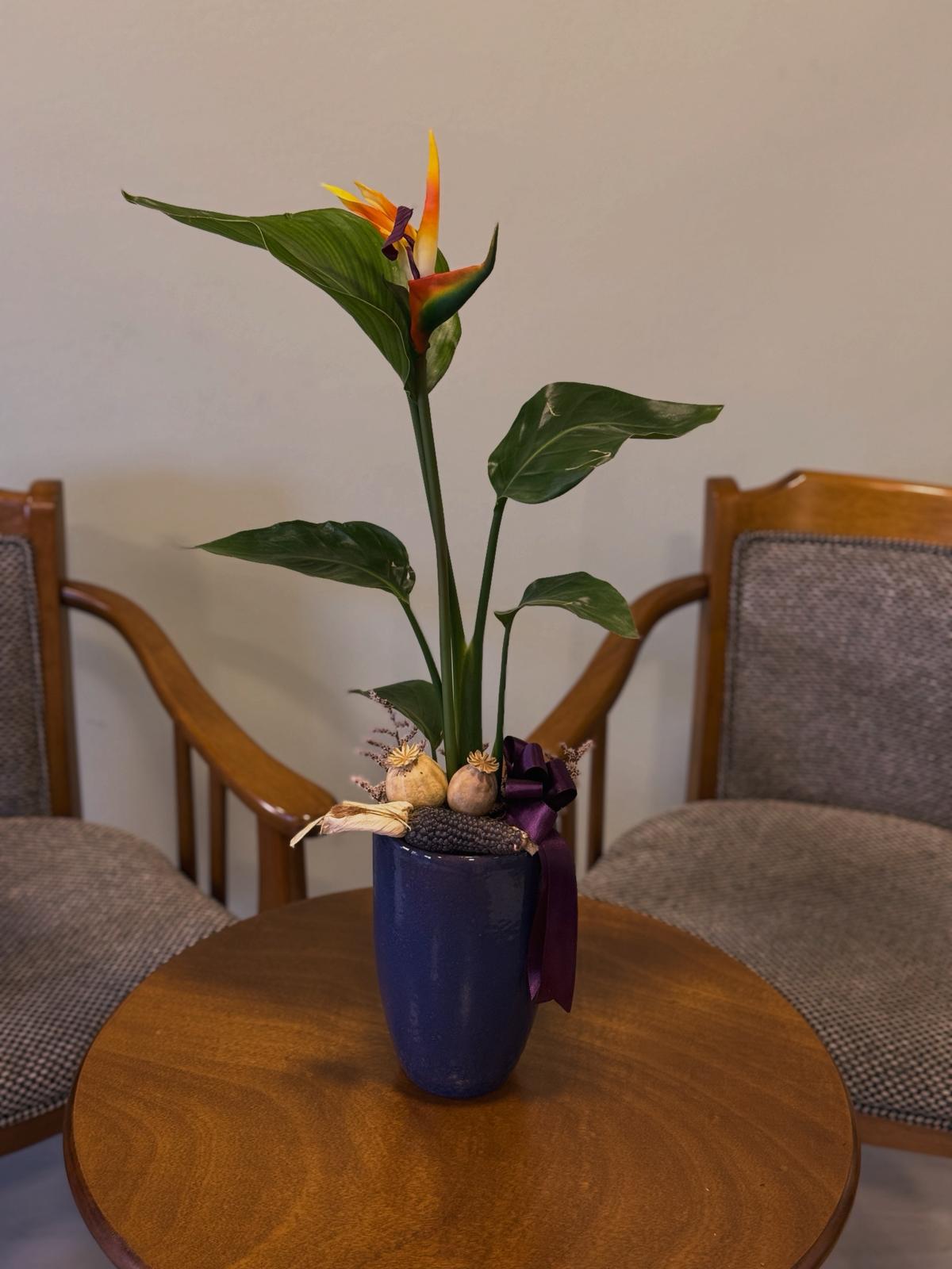 Doğukan Genç Tasarım 17