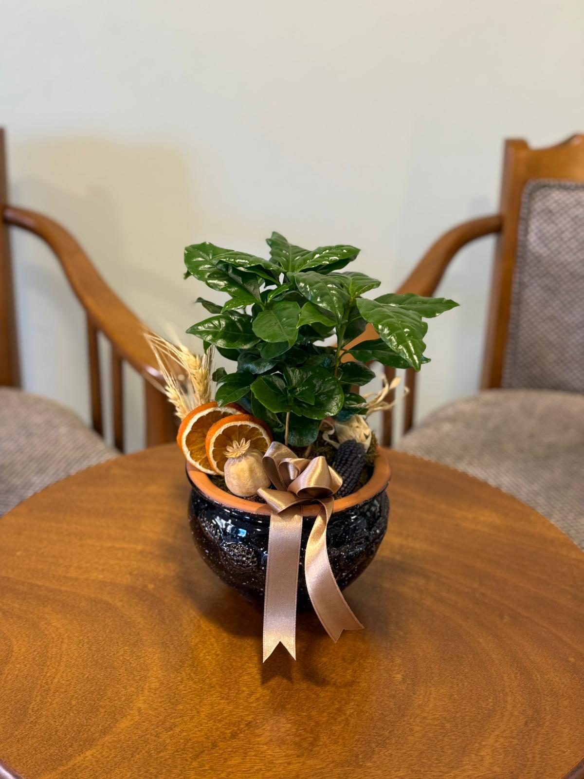 Doğukan Genç Tasarım 22