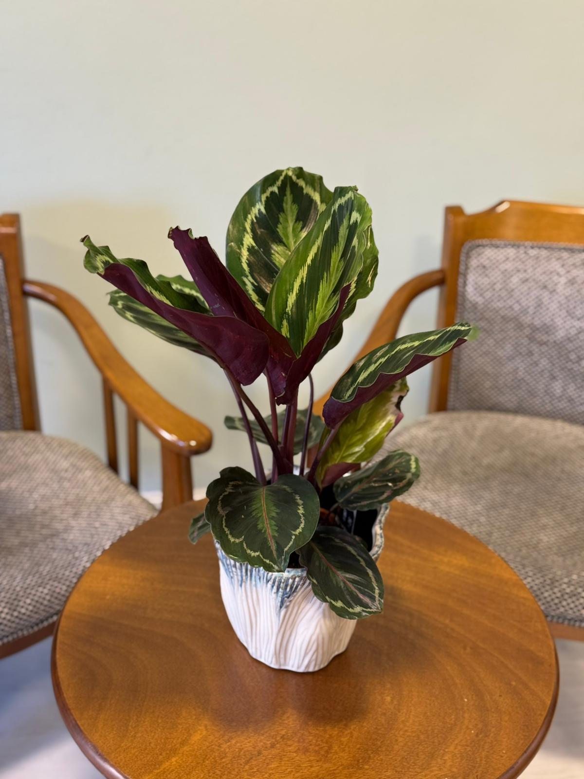 Doğukan Genç Tasarım 25